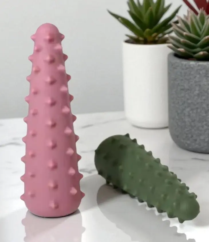 Velvet Cactus - Image 3