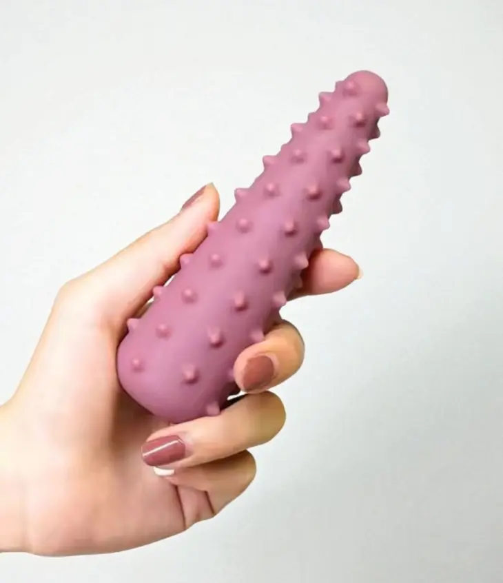 Velvet Cactus - Image 6