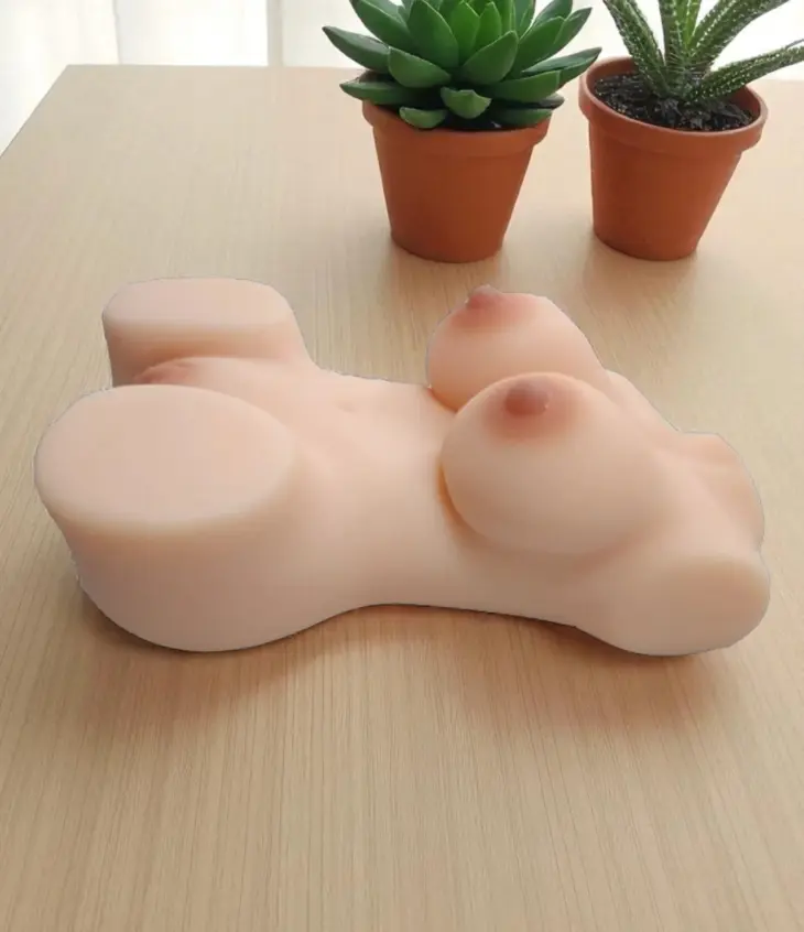 Apsara Torso (1.33KG) - Image 4